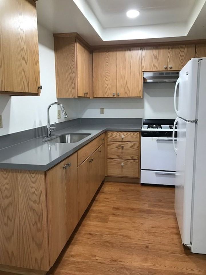 Chestnut Village Apartments - Photo 2 of 4