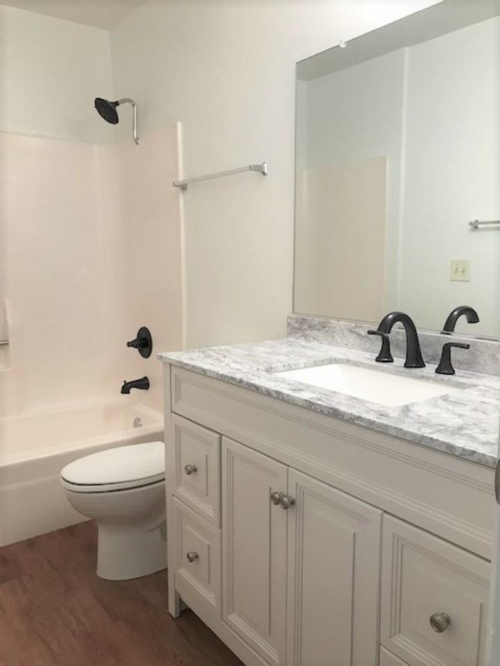 Chestnut Village Apartments - Photo 4 of 4