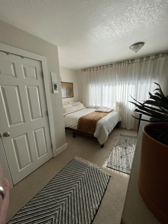 2801 N Downing St #D - Photo 5 of 9