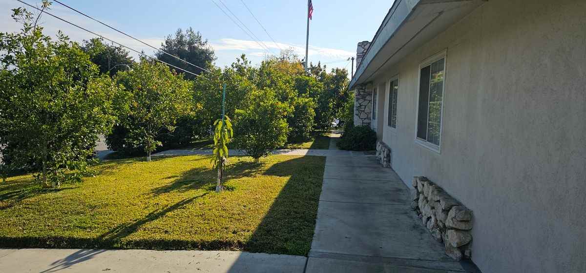 25061 Lawton Avenue - Photo 3 of 7