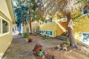 Images Springcreek Apartments - Photo 1 of 1