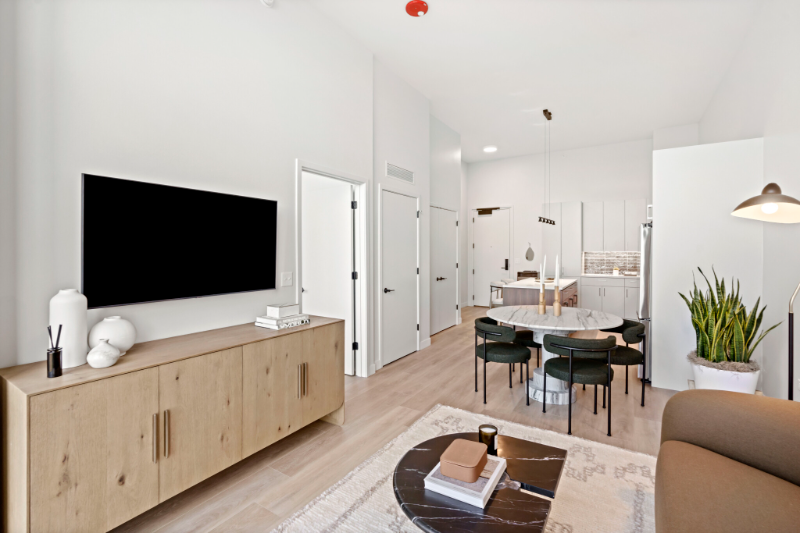 1120 West Van Buren Street #1602 - Photo 4 of 17