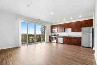 The Highlander - Photo 1 of 1