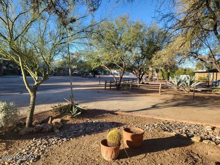 2701 E Blacklidge Dr - Photo 3 of 16