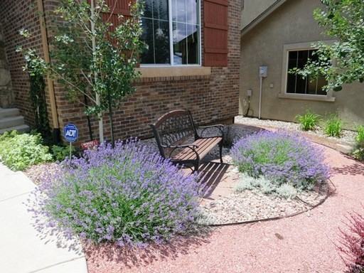 3665 Cherry Plum Dr - Photo 2 of 21