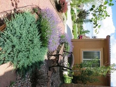 3665 Cherry Plum Dr - Photo 3 of 21