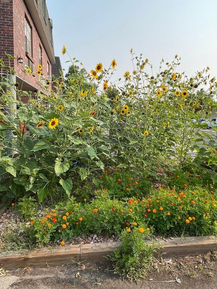 2nd Month rent is FREE and $250.00 off the move in rent! - Photo 3 of 38