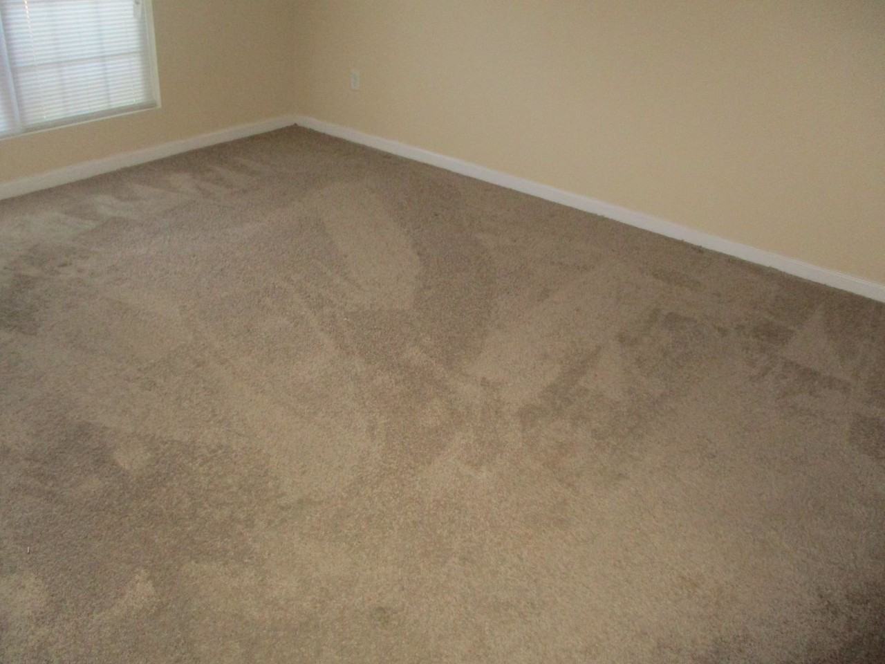 222 Glade Ln - Photo 5 of 14