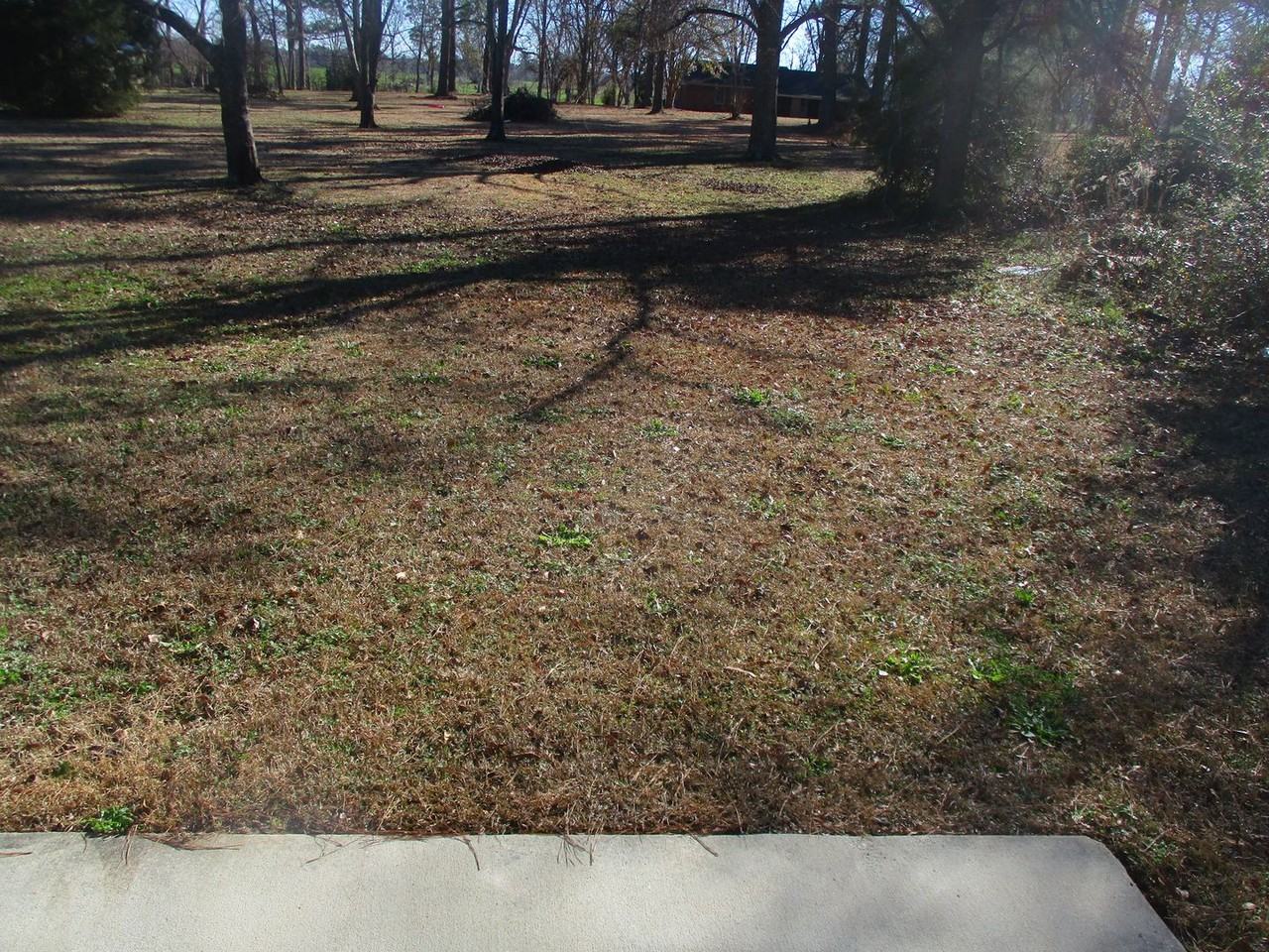 222 Glade Ln - Photo 7 of 14