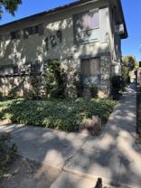 729 Locust St #5 - Photo 1 of 1