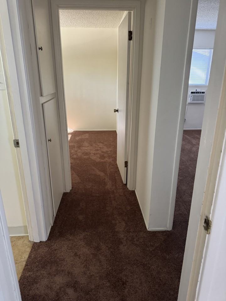 729 Locust St #5 - Photo 4 of 10
