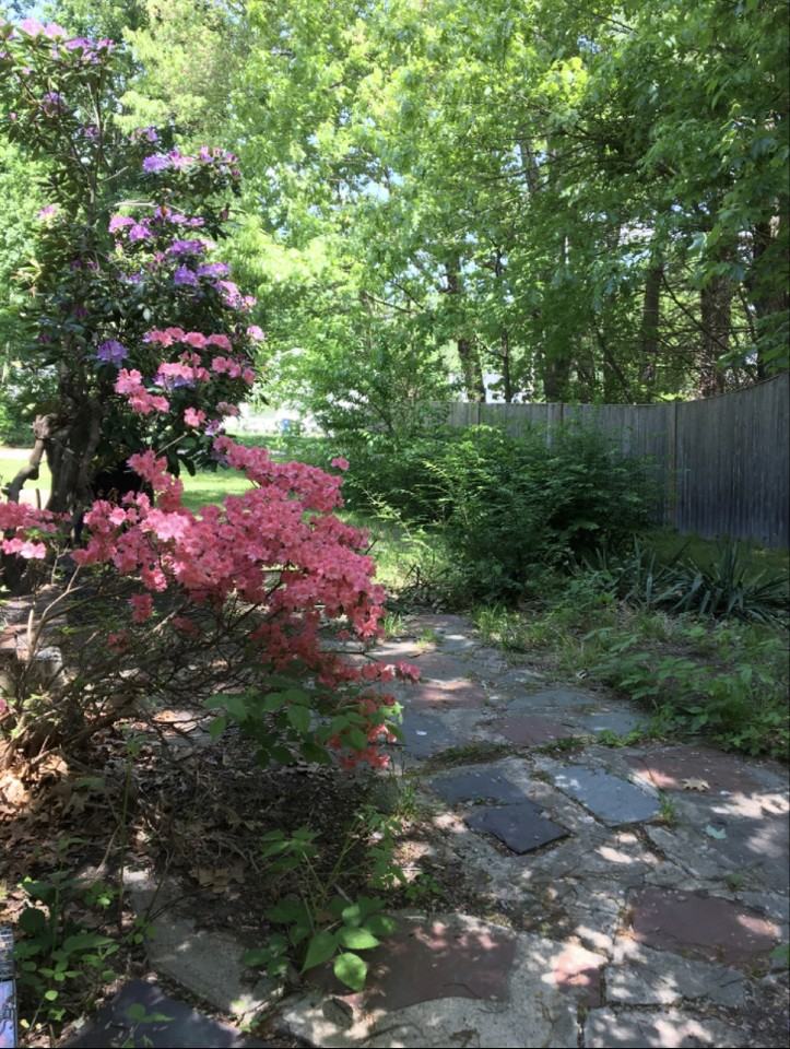 15 Massapoag Ln #NA - Photo 3 of 50