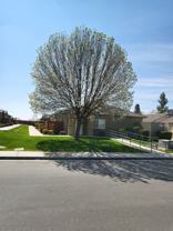 717 Meadow Grove Ct #D - Photo 1 of 1