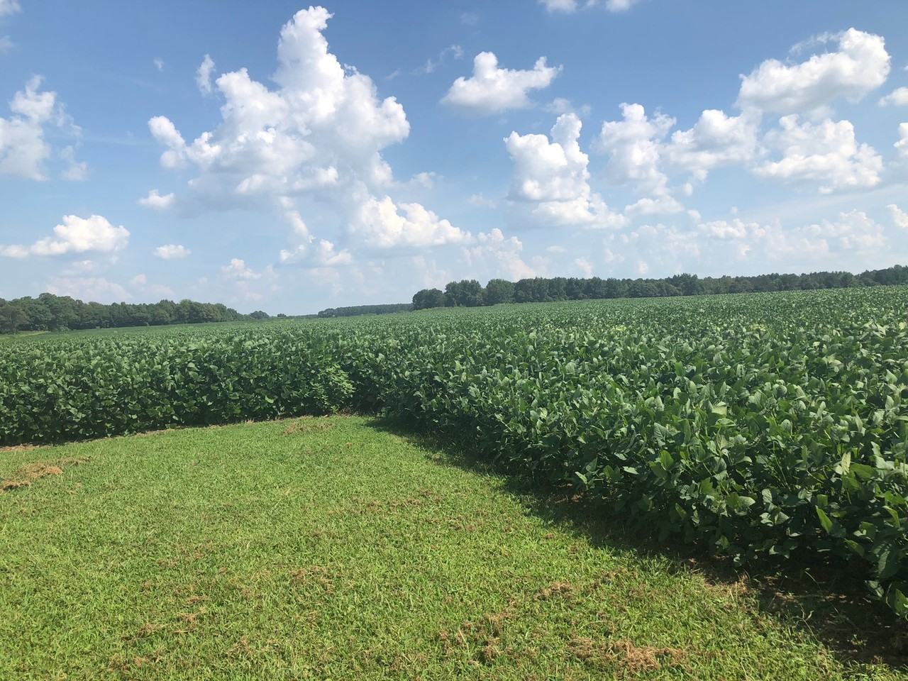 117 4390-B US Highway 117 N - Photo 6 of 31