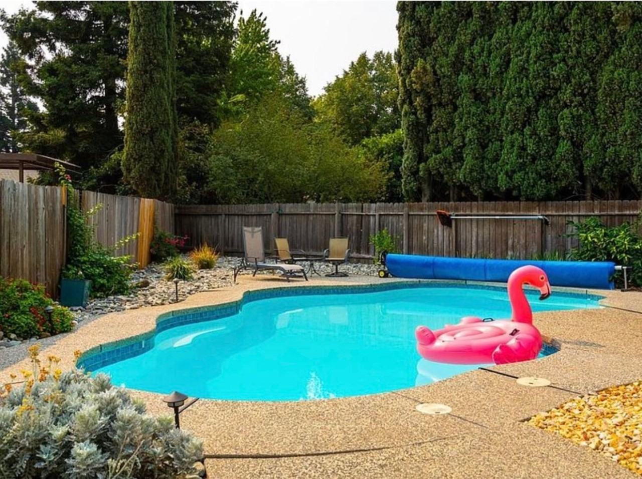 2984 Yarwood Way - Photo 4 of 27