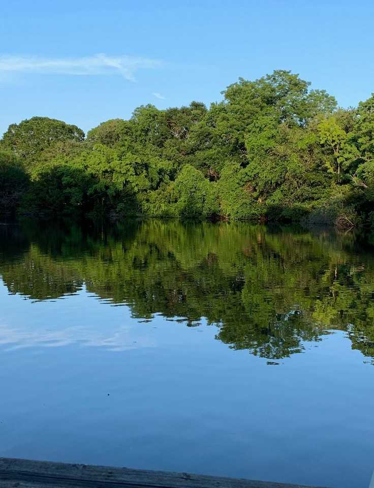 1360 Woodlock Rd - Photo 2 of 19