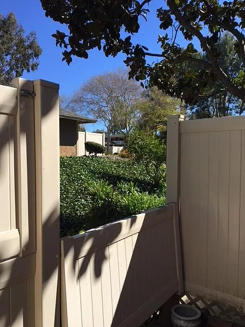 28747 Conejo View Dr - Photo 3 of 16