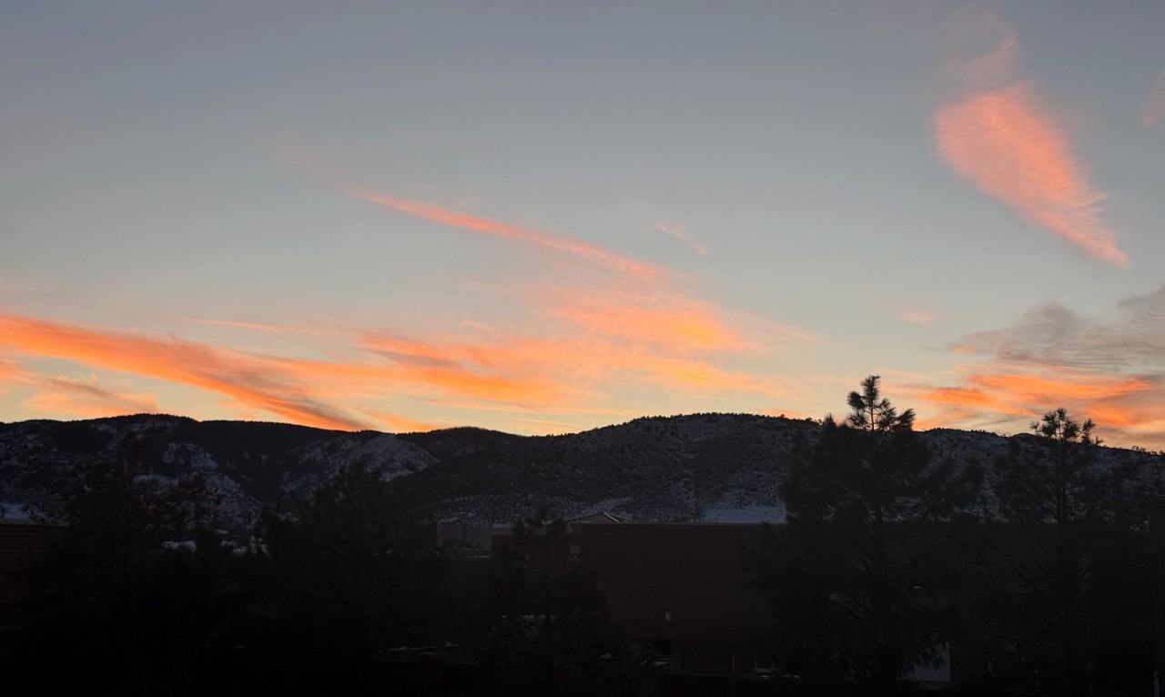 8457 S Hoyt Way #303 - Photo 6 of 32