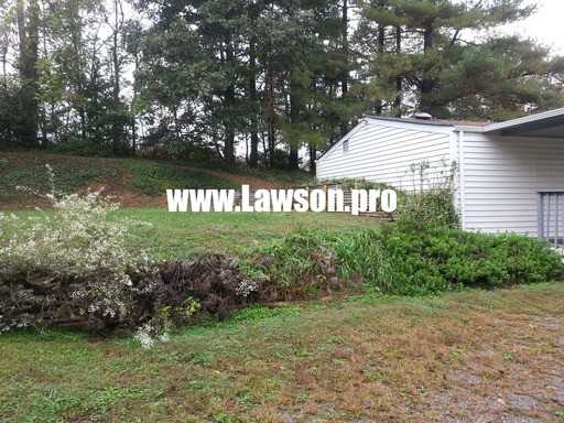 2745 McVitty Rd - Photo 3 of 14