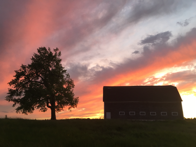 43 Ocean Dr - Photo 3 of 20