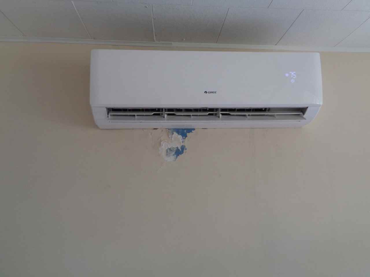 1133 1133 N. Fletcher Ave - 1133 N. Fletcher Ave - Photo 5 of 50