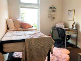 featured image of 1000 Diamond St