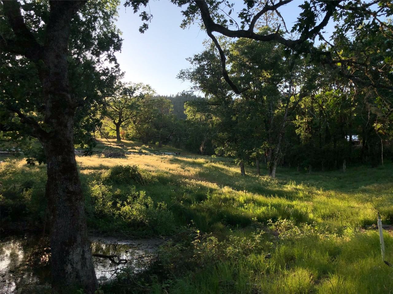 6155 Tunnel Loop Rd #NA - Photo 3 of 17