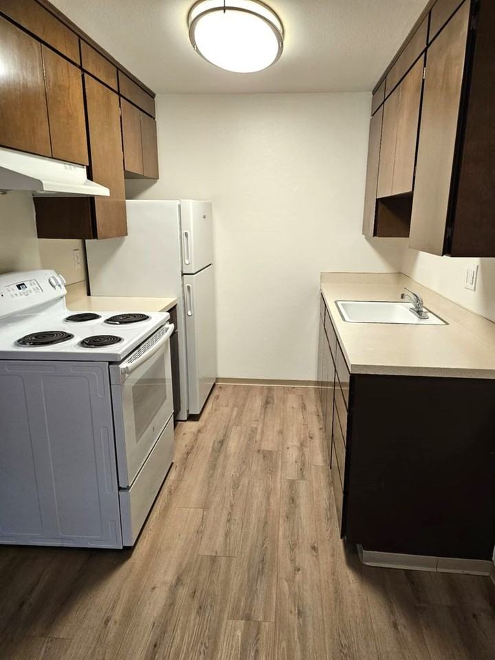 Todd House-Michelle Apartments - Photo 3 of 6