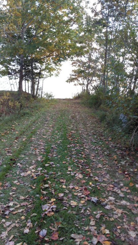 3 Searsport Ter - Photo 3 of 19