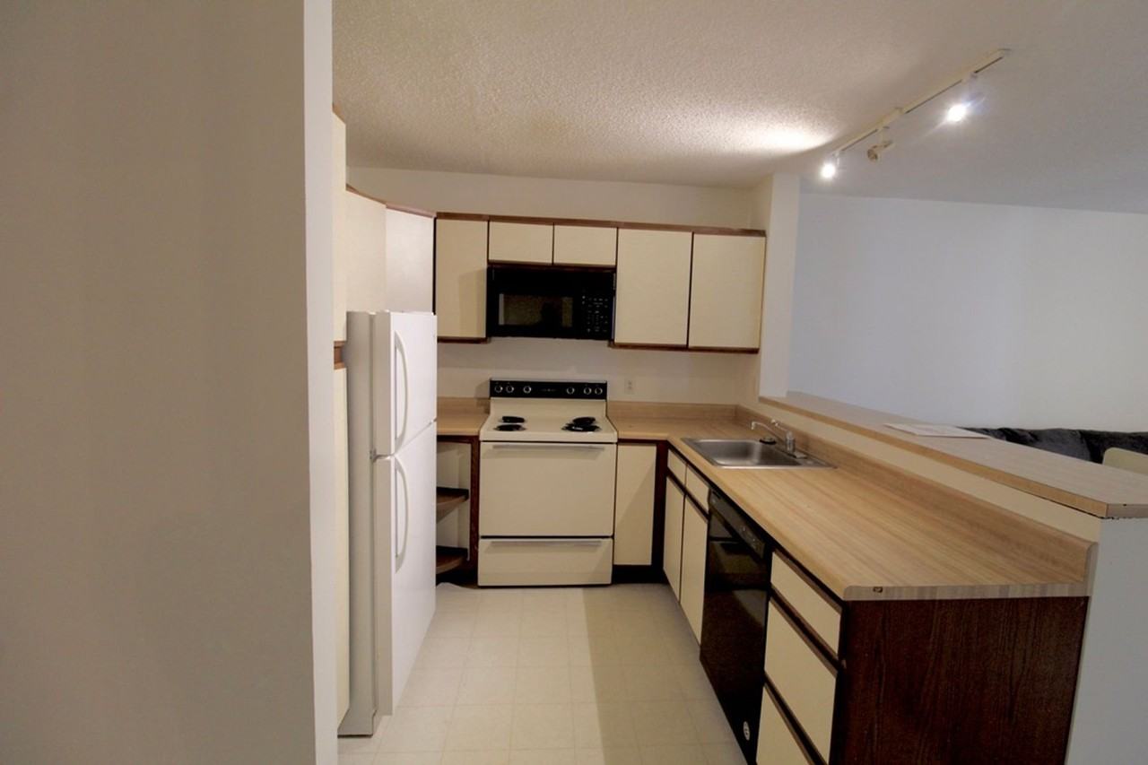 1336 Hunters Rd Apt A - Photo 2 of 17