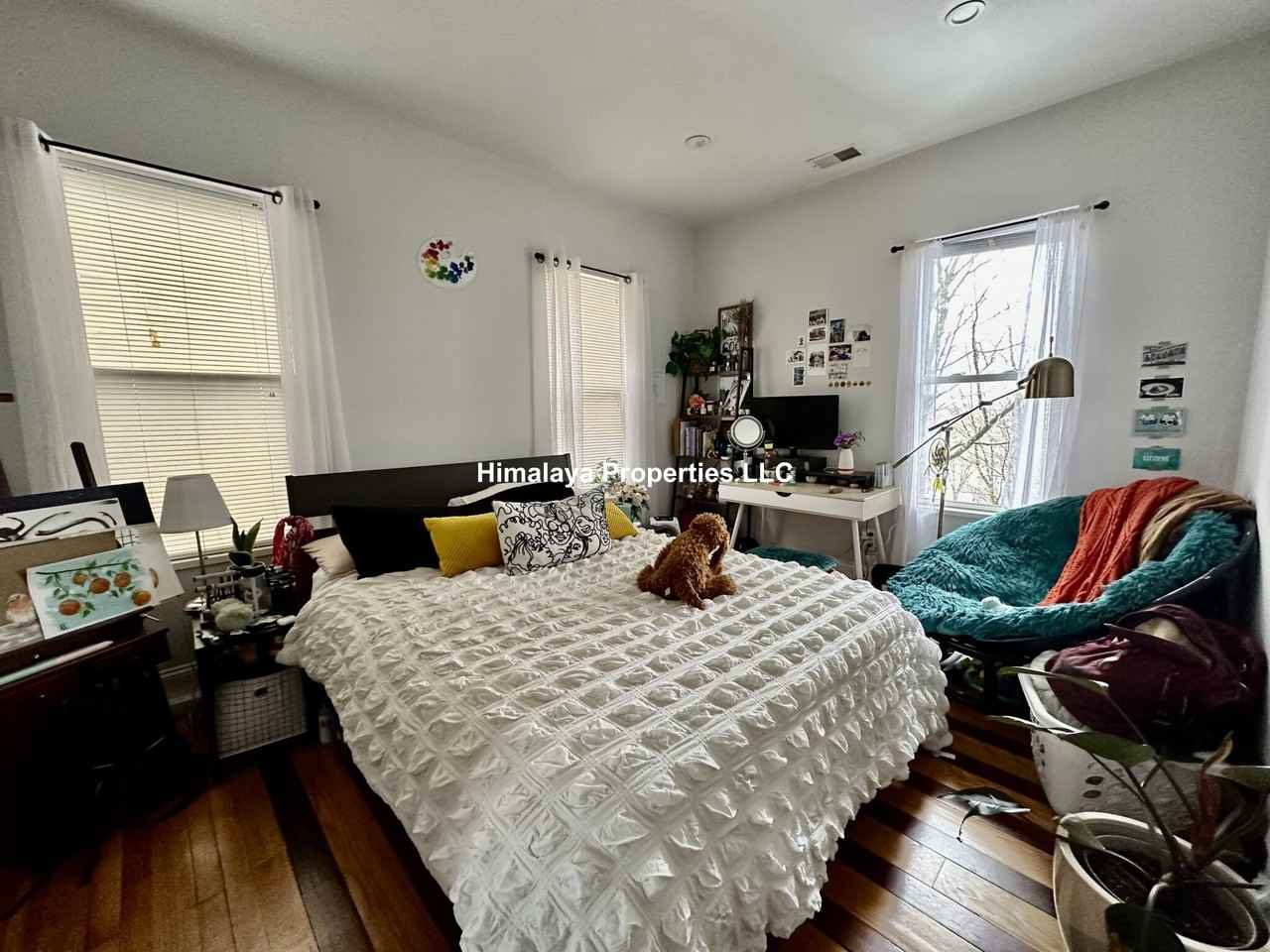 53 Beech Glen St #1 - Photo 5 of 12