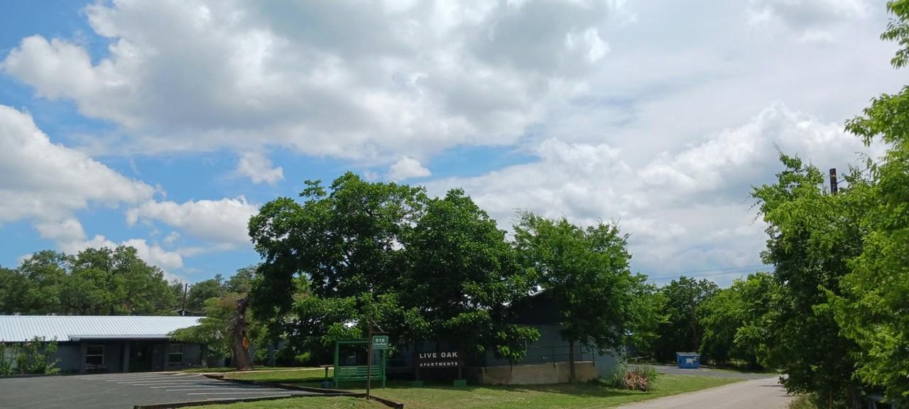 Live Oak Apartments - Photo 2 of 8