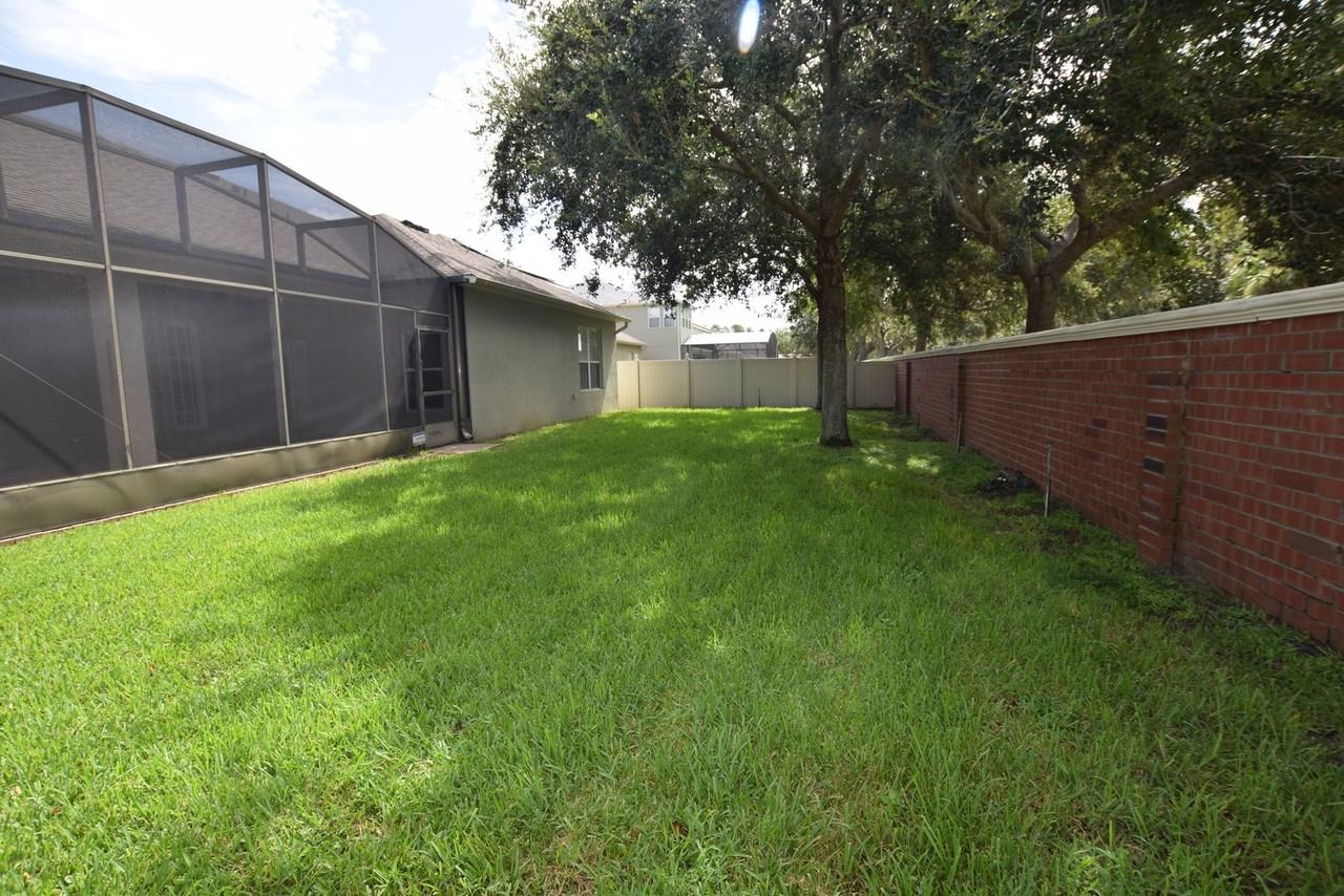 11919 Sheltering Pine Drive - Photo 6 of 48