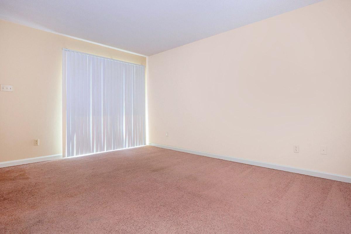 The Hermitage - Photo 7 of 19