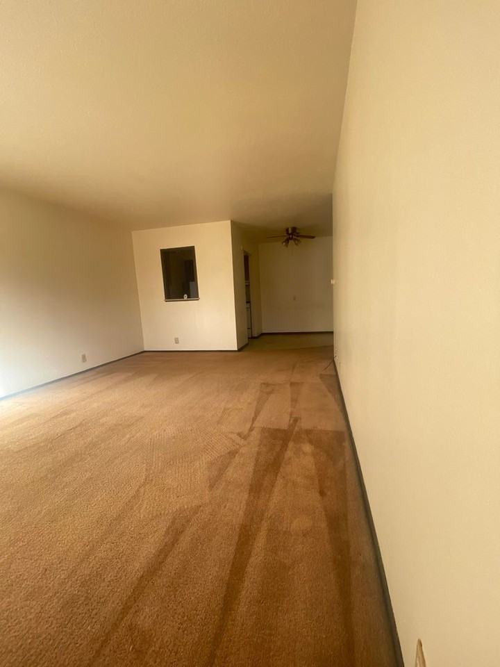 791 Russell Rd - Photo 3 of 14
