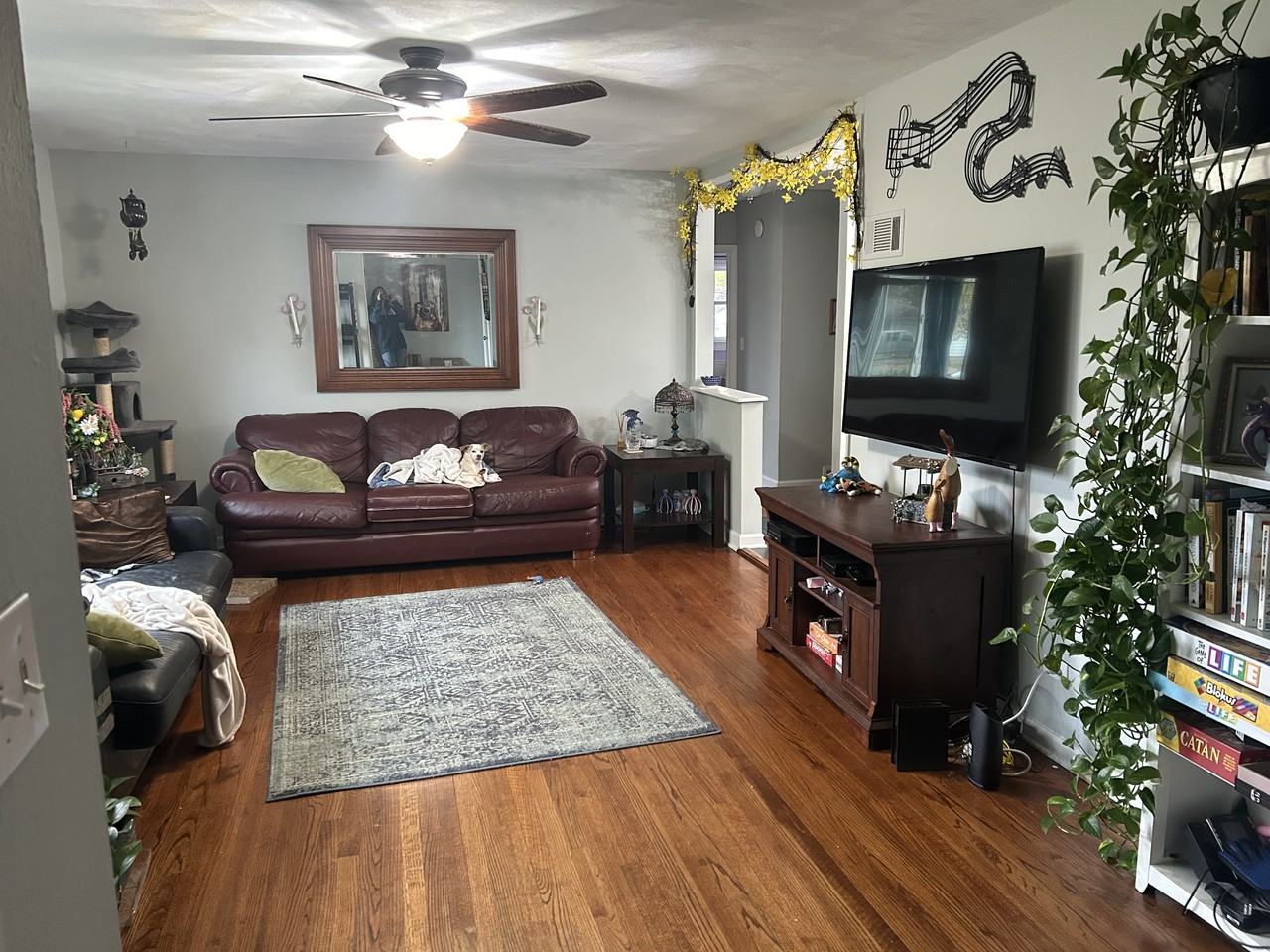 44 Grainey Dr #NA - Photo 3 of 4