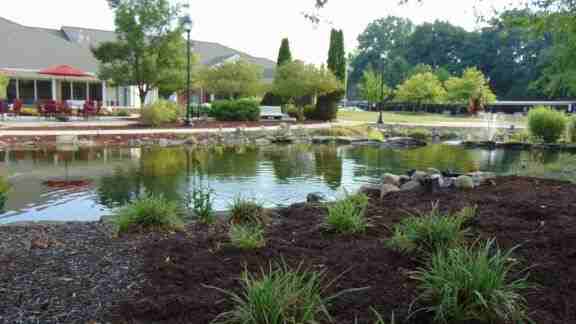 Marsh Pointe - Photo 6 of 19