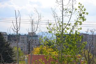 2nd Avenue - Photo 1 of 1