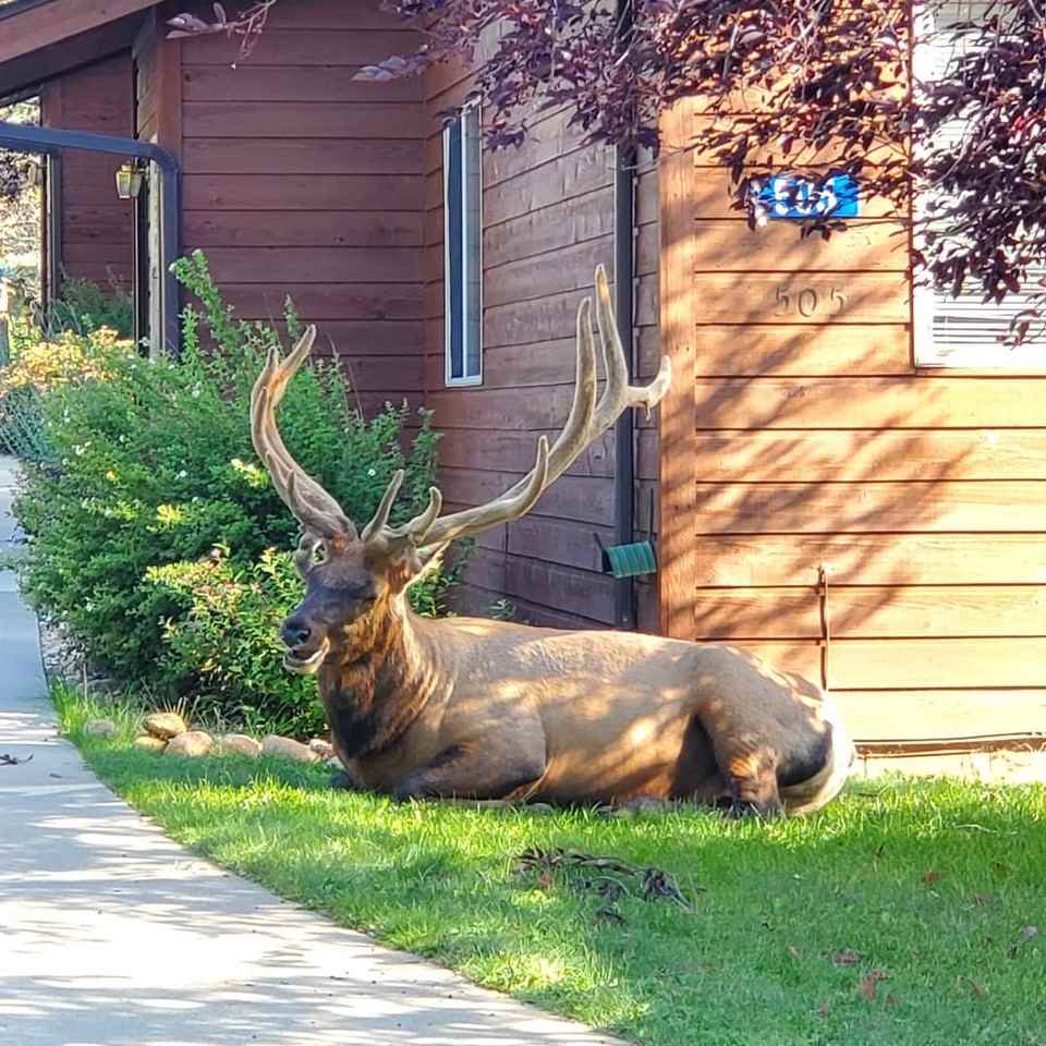 507 Fall River Ln #507C - Photo 2 of 18