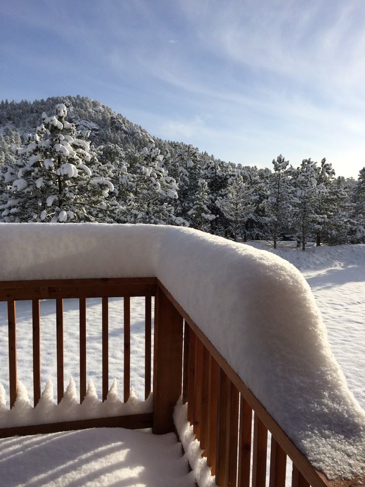 507 Fall River Ln #507C - Photo 3 of 18