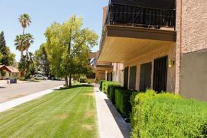 featured image of 890 N Poppy St