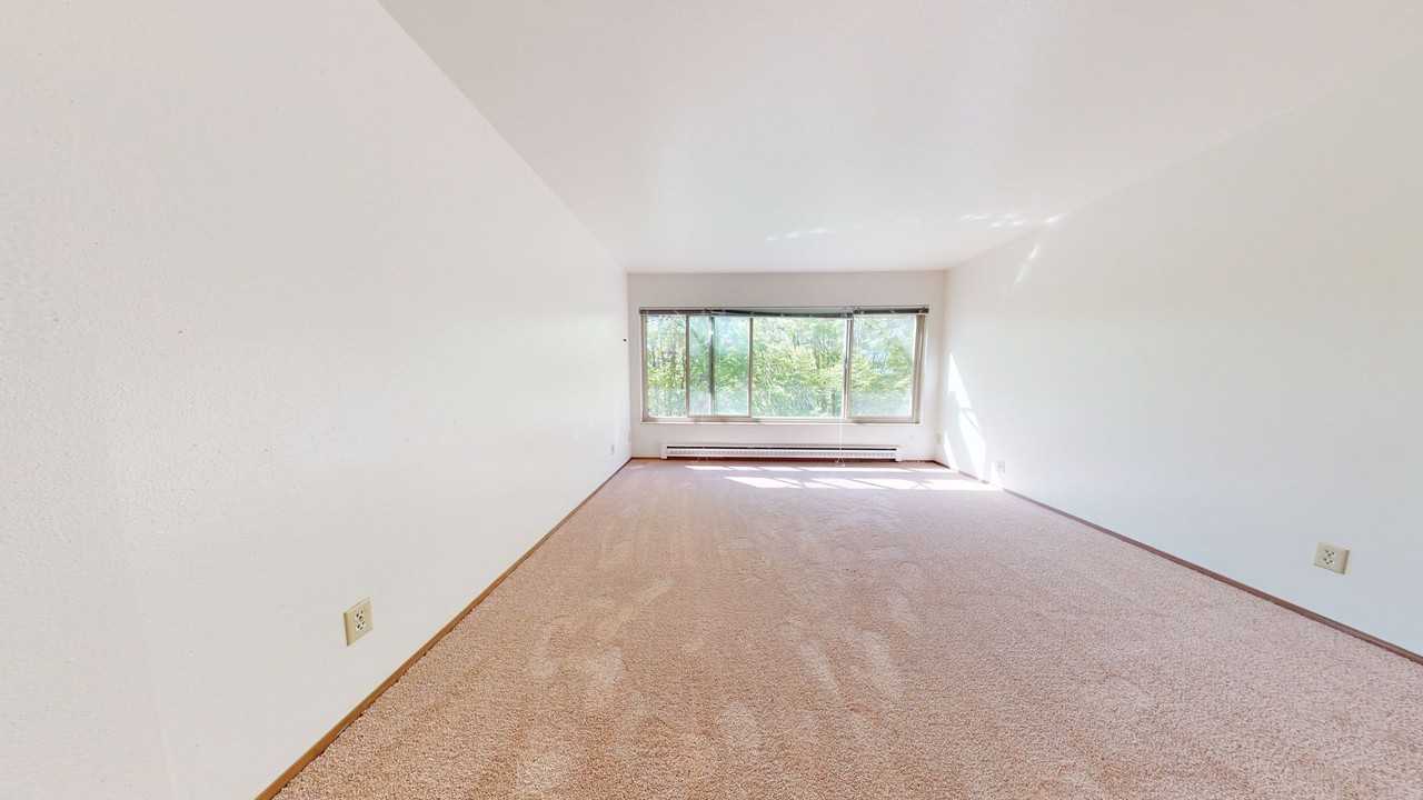 Coho - Photo 2 of 26