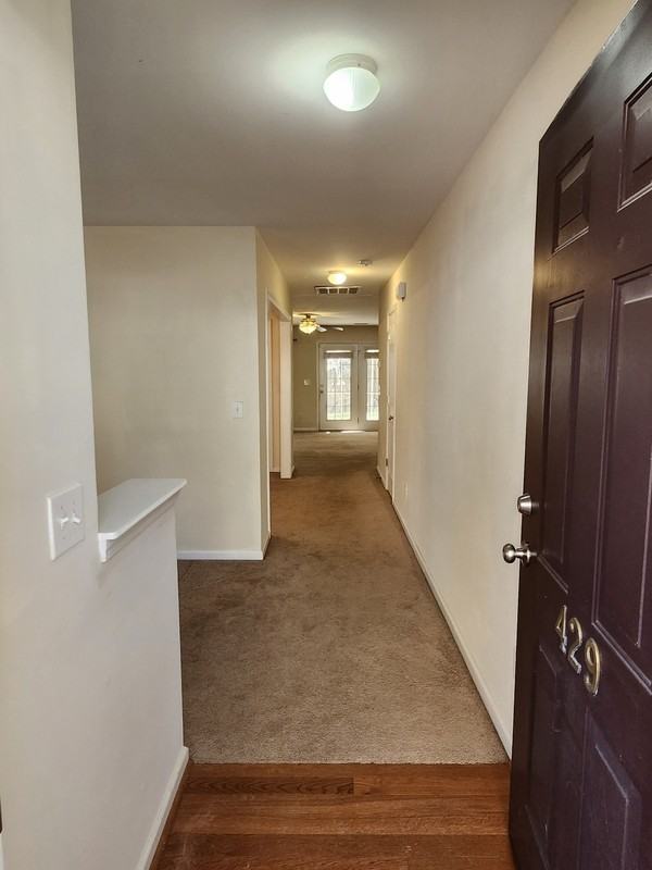 429 Buttonbush Ct - Photo 5 of 50