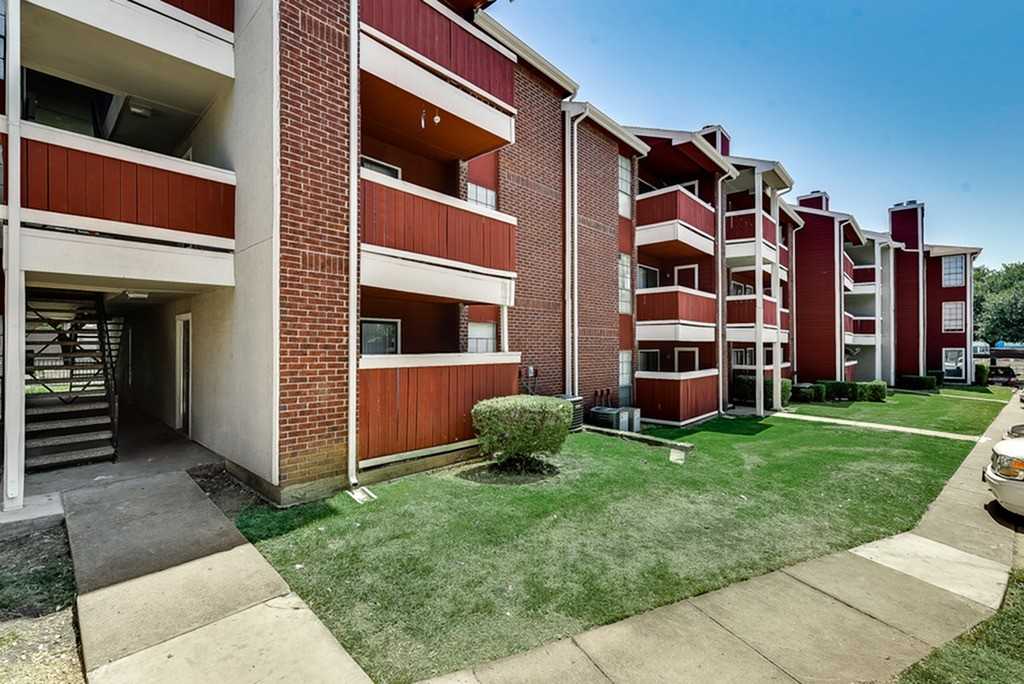 Luna - Photo 2 of 79