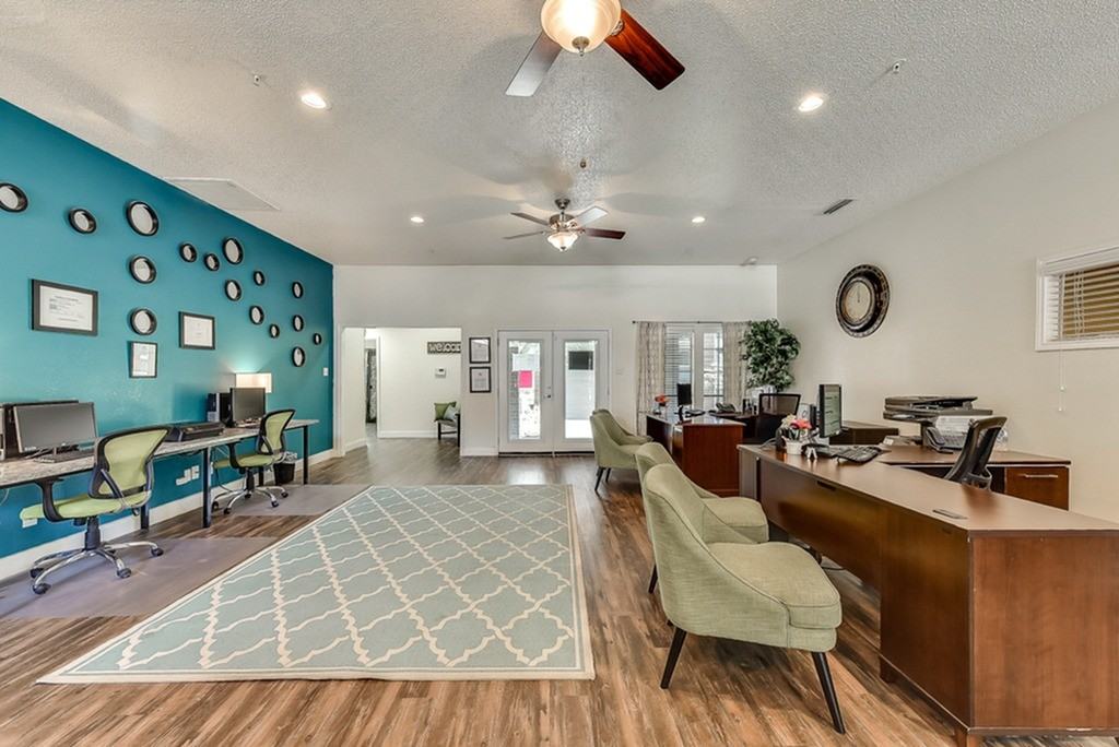 Luna - Photo 4 of 79