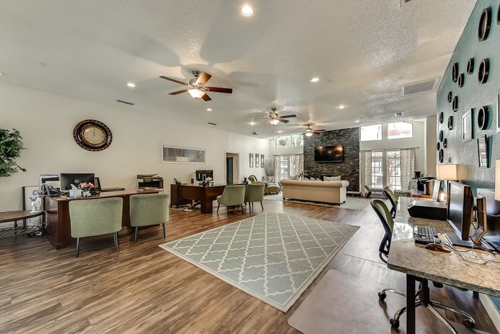 Luna - Photo 5 of 79