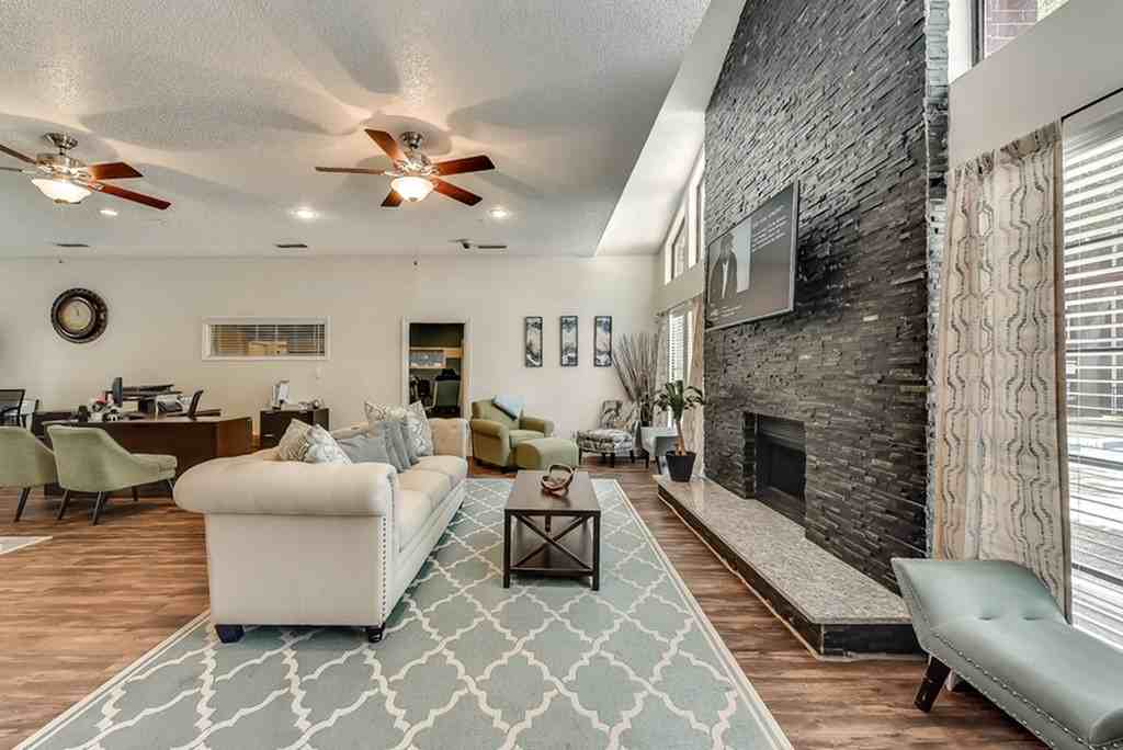 Luna - Photo 6 of 79