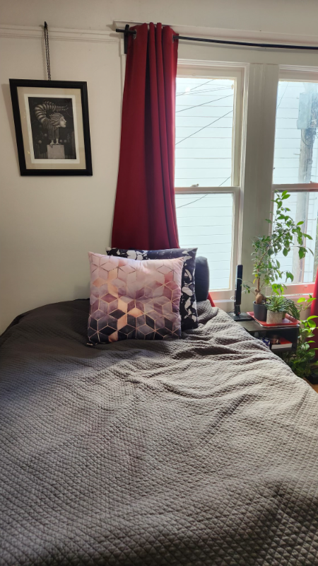 8 Doric Aly - Photo 7 of 11