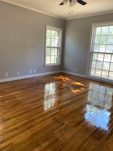 313 Hollywood St #NA - Photo 3 of 11