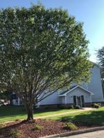 featured image of 395 4th St